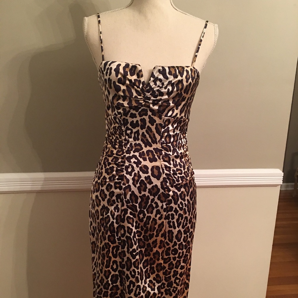Cache stretch leopard dress